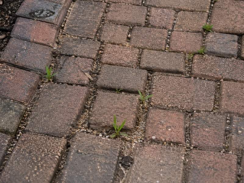 Uneven brick pavers with visible shifting and gaps showing movement caused by settling and expansion over time